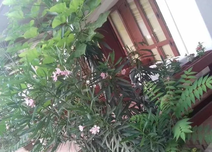 A Casa di Nené
