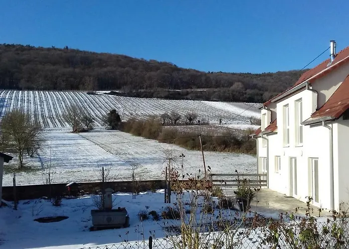 Aux vignes
