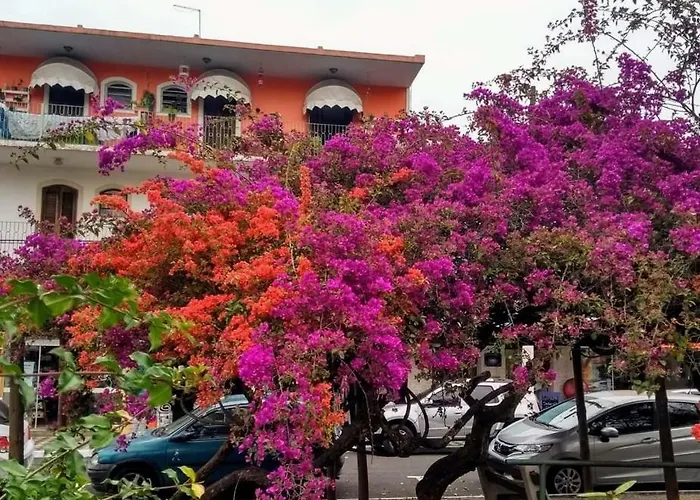 Villa Franco Águas de São Pedro