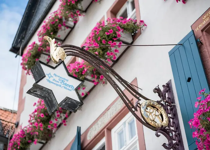 Romantik Hotel zum Stern Bad Hersfeld