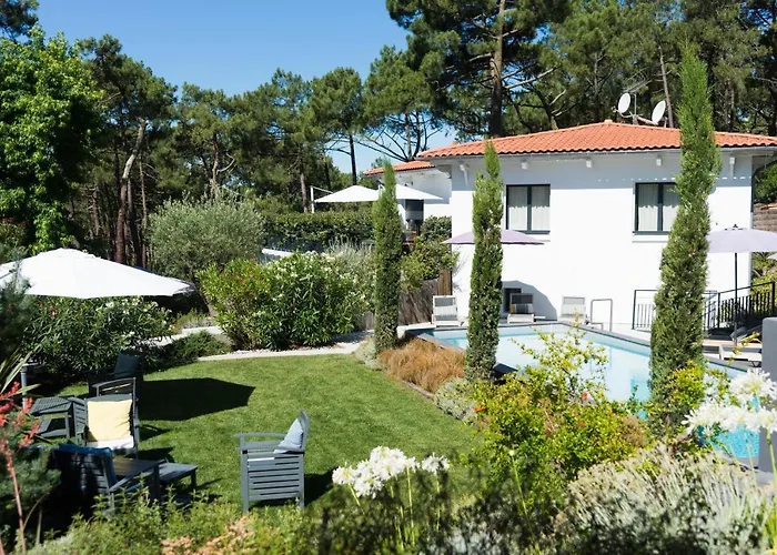 Ferret Vigne - Villa Chambres d'Hôtes Lège-Cap-Ferret