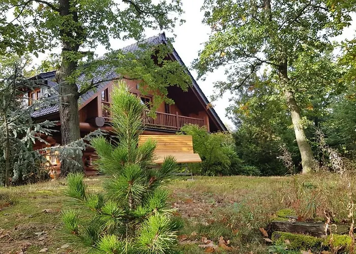 Hotels in Thale