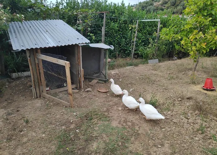 Nature Et Al House - Casa Para Uso Exclusivo E Jardim - Little Farm Batalha