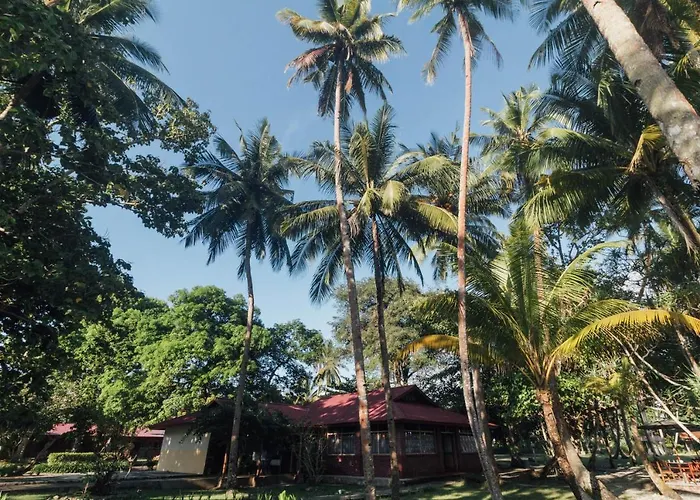 Oyo 1688 Collin Beach Hotel