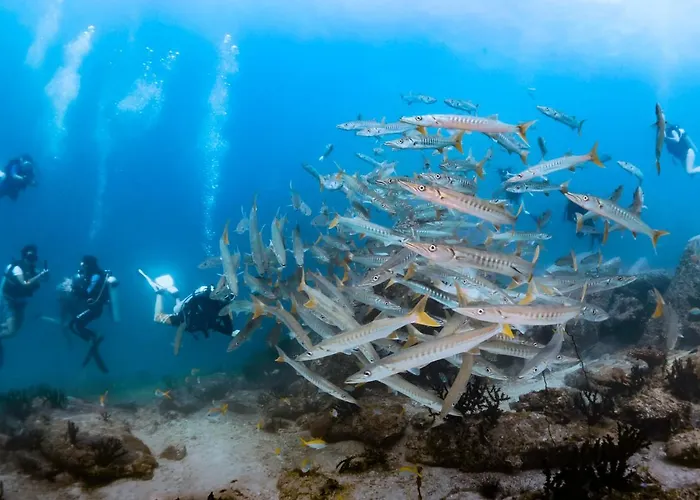 Forra Dive Resort Sunrise Koh Lipe