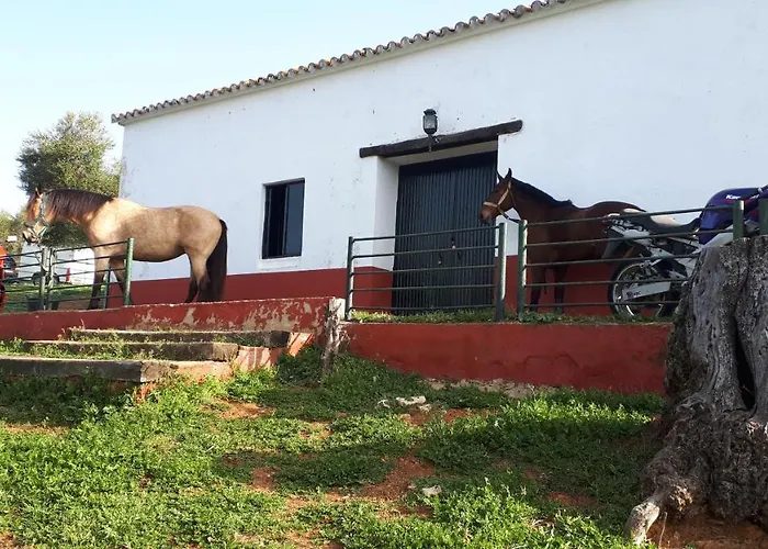 Finca La Carnicera