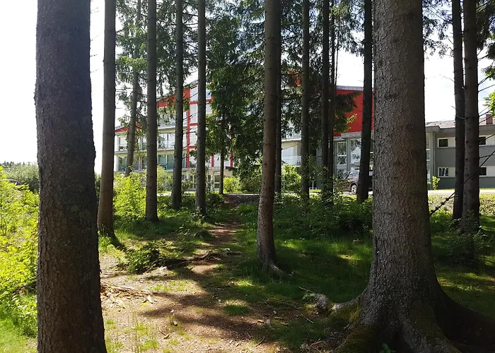 Schwarzwald Lodge Rothaus Grafenhausen