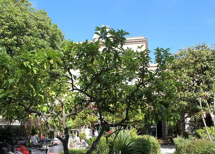 Hôtel Les Palmiers